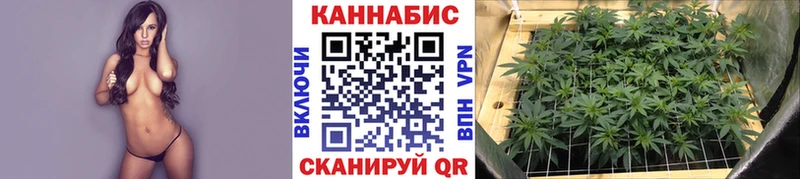 ОМГ ОМГ ТОР  Ершов  МАРИХУАНА Amnesia  что такое наркотик 